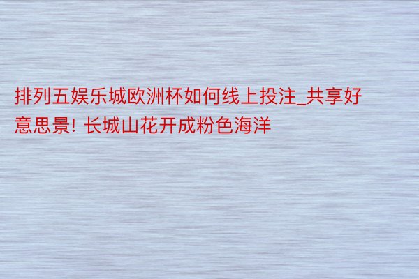 排列五娱乐城欧洲杯如何线上投注_共享好意思景! 长城山花开成粉色海洋