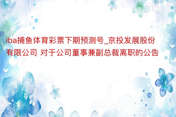 iba捕鱼体育彩票下期预测号_京投发展股份有限公司 对于公司董事兼副总裁离职的公告