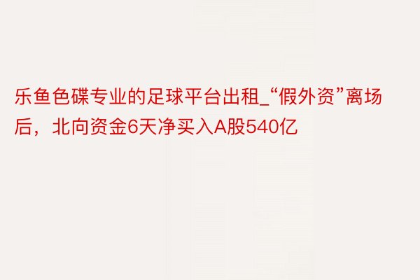 乐鱼色碟专业的足球平台出租_“假外资”离场后，北向资金6天净买入A股540亿