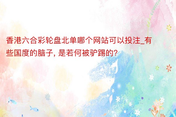 香港六合彩轮盘北单哪个网站可以投注_有些国度的脑子， 是若何被驴踢的?